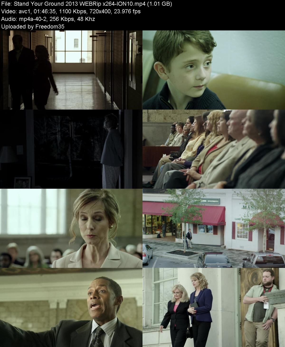 Stand-Your-Ground-2013-WEBRip-x264-ION10