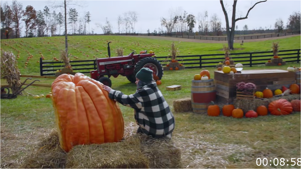 [Image: v8z5wo6oy2zf.png]