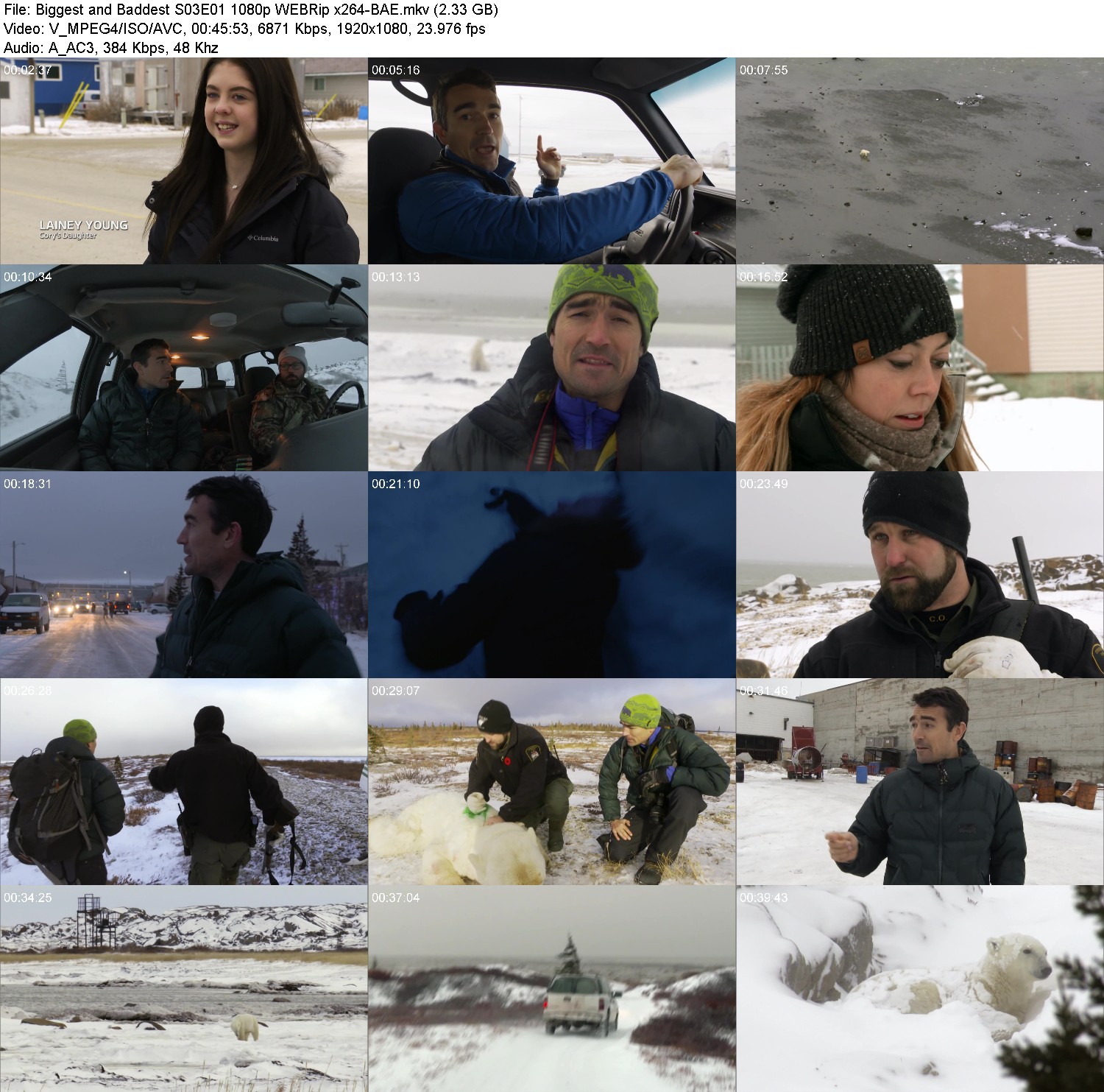 [Image: wo2u3quh63xr.jpg]