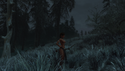 Screen-Shot118.png