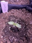 IMG_7401E700-617A-45B6-9939-E789F94F7F2C