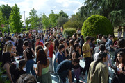 DSC-0682