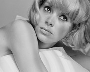 mireille-darc-c10