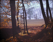 07872f8a249d430c546edc1c1fb3c955