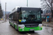 IMG-4943