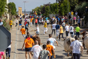 IMG-0504