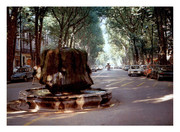 Aix en Provence,  Bouche du Rhône, le Cours Mirabeau (2023)