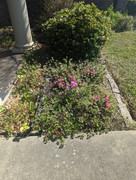 PXL-20230305-163701976