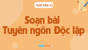soan-bai-tuyen-ngon-doc-lap