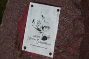 DSC08002-1