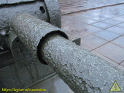 IMG-9603