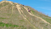 IMG-20260110-105911