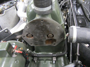 IMG-6909.jpg