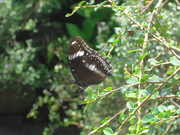 photo 2 2025 12 24 16 04 46