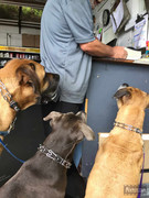 BBG&B2ItAllStartedWhenPics - 6