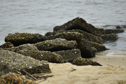 DSC0057