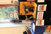 IMG-1667