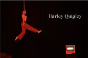 Harley-Quigley
