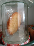 biscuit_le_prisionnier_german_2024