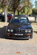 IMG-7253