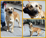 Be-Funky-collage-18.jpg&key=960f538382f7