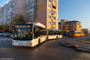 IMG-1043