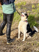 IMG_20230417_005446_368