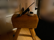 2D9E56D1-3B43-4B40-ACEF-D044D9B244E6