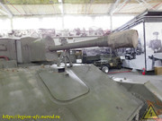 DSCN6548