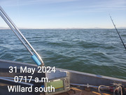 [Image: 08-31-May-2024.jpg]