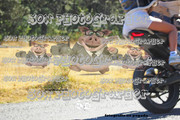 IMG-2536