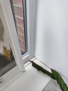 conservatory corner to wall 2