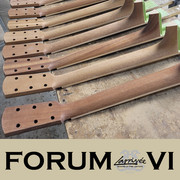 Larrivee- ForumVI-32