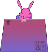 Big-Dust-Bunny-EX-box