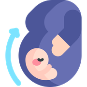 Pregnancy Icon