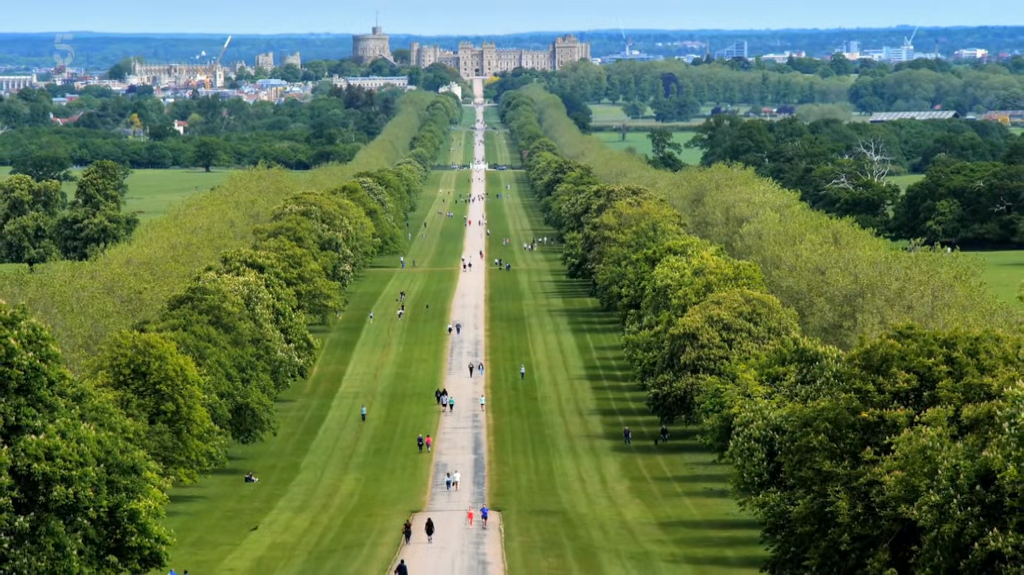 [Image: 6u15dmffcjf5.png]