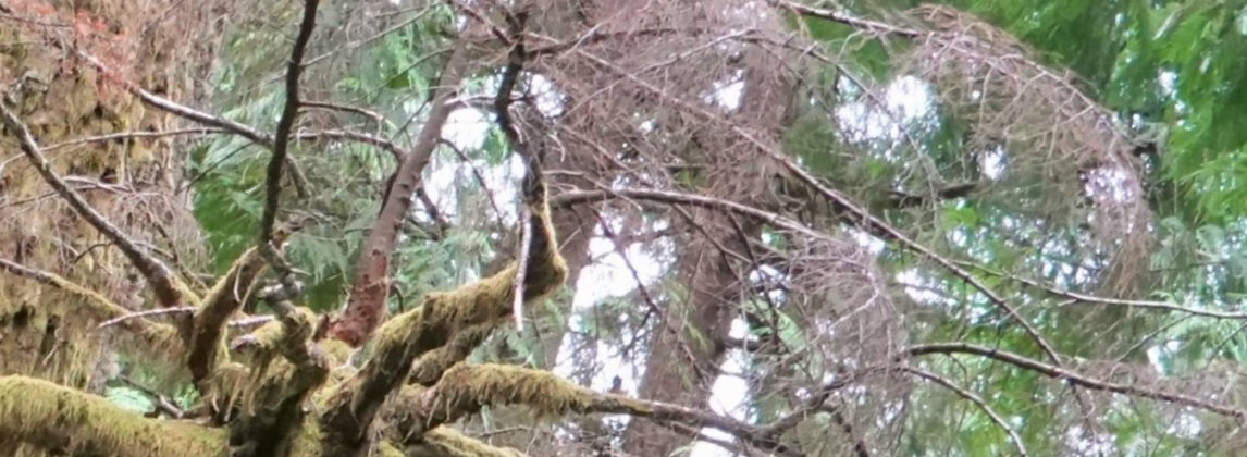 20210807-044210.jpg