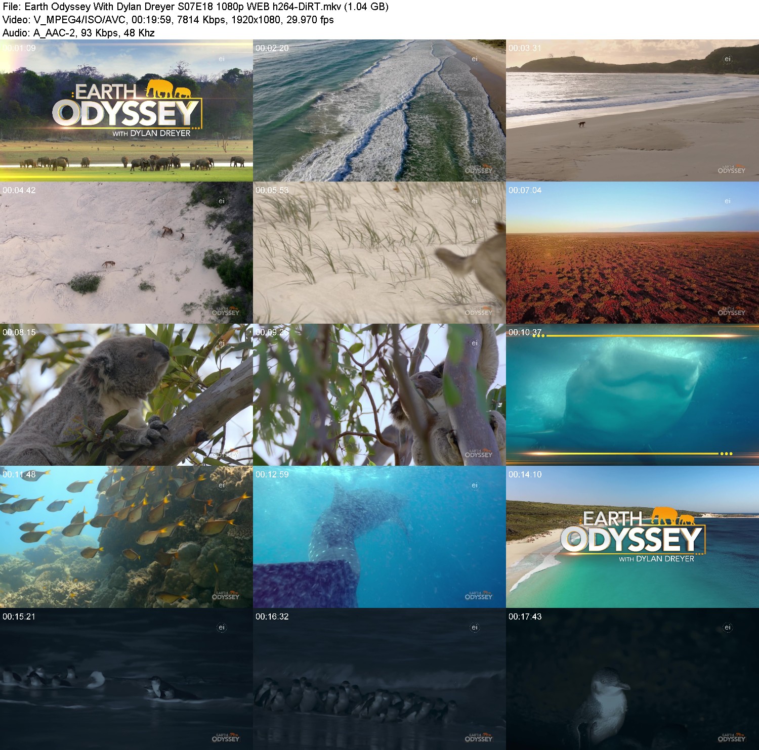 [Image: 5ahuuc9xl64h.jpg]