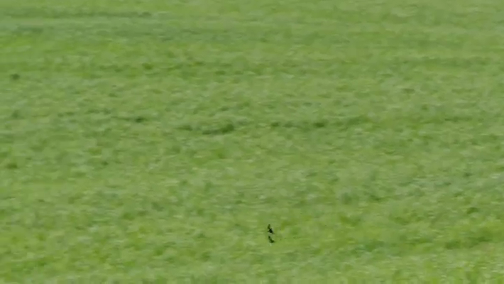 [Image: i1nf0cu93ahp.png]