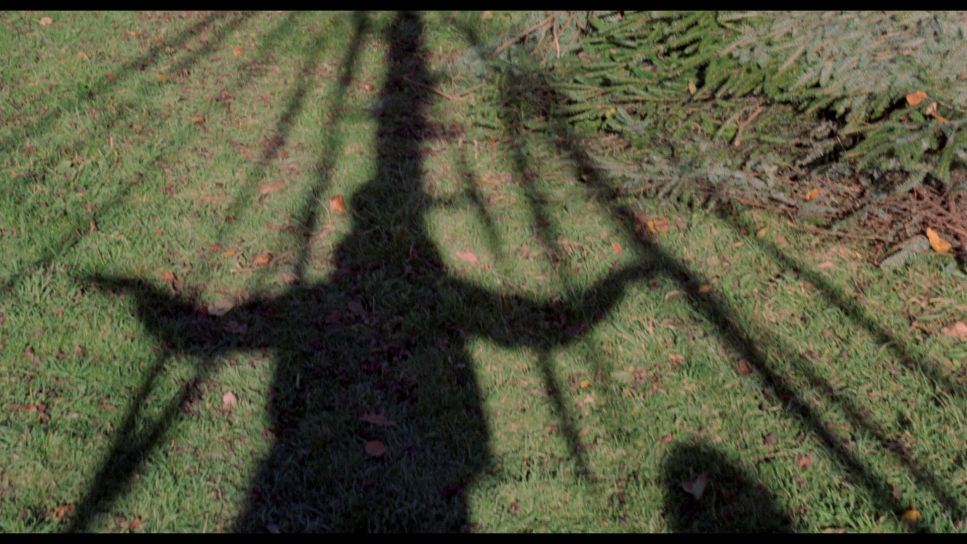 vlcsnap-2021-10-24-15h59m10s473.png