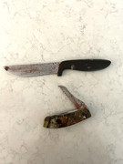 [Image: IMG-5645.jpg]