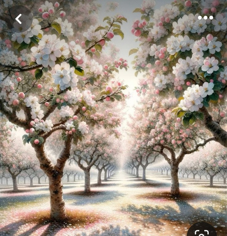 Screenshot_20240410_001212_Pinterest