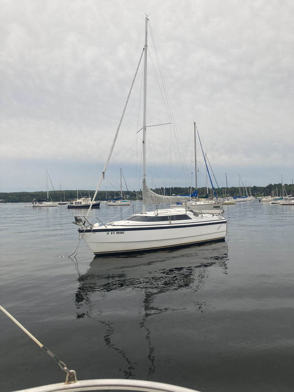 DE3AAD90-51B3-48B6-94F4-A7BA327A5A67