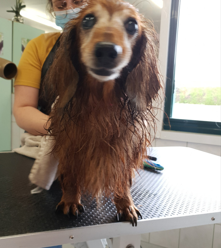 [Image: 20210709-152619.jpg]