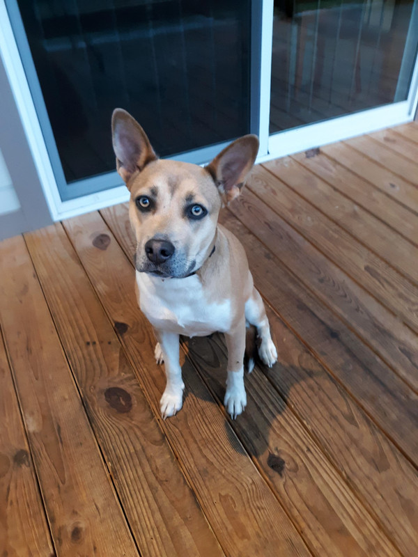 20191026_175339.ENH.1440P