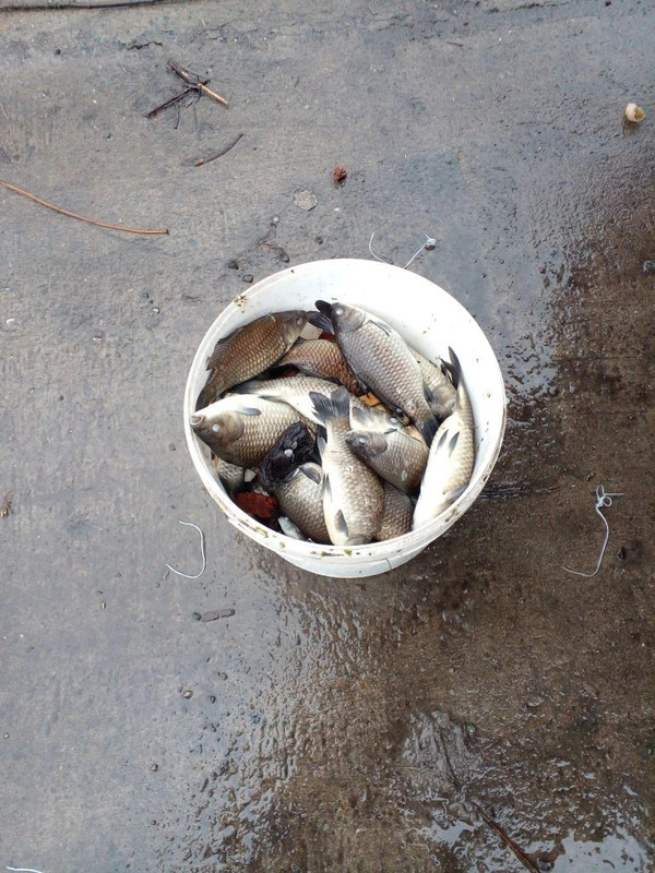 IMG 20260406 173818 694