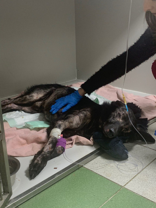 01A1F5F7-4885-4AFC-B9E7-9A68A4D4373B