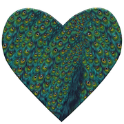 Peacock-Dreams-MM-Element-108