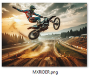 MXRIDER