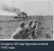 https://i.postimg.cc/kDCtWP1r/photo-2026-07-01-01-31-49.jpg